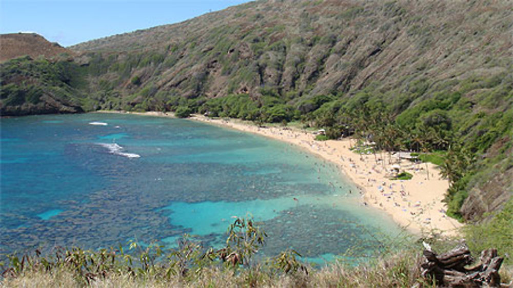 Hanauma bay