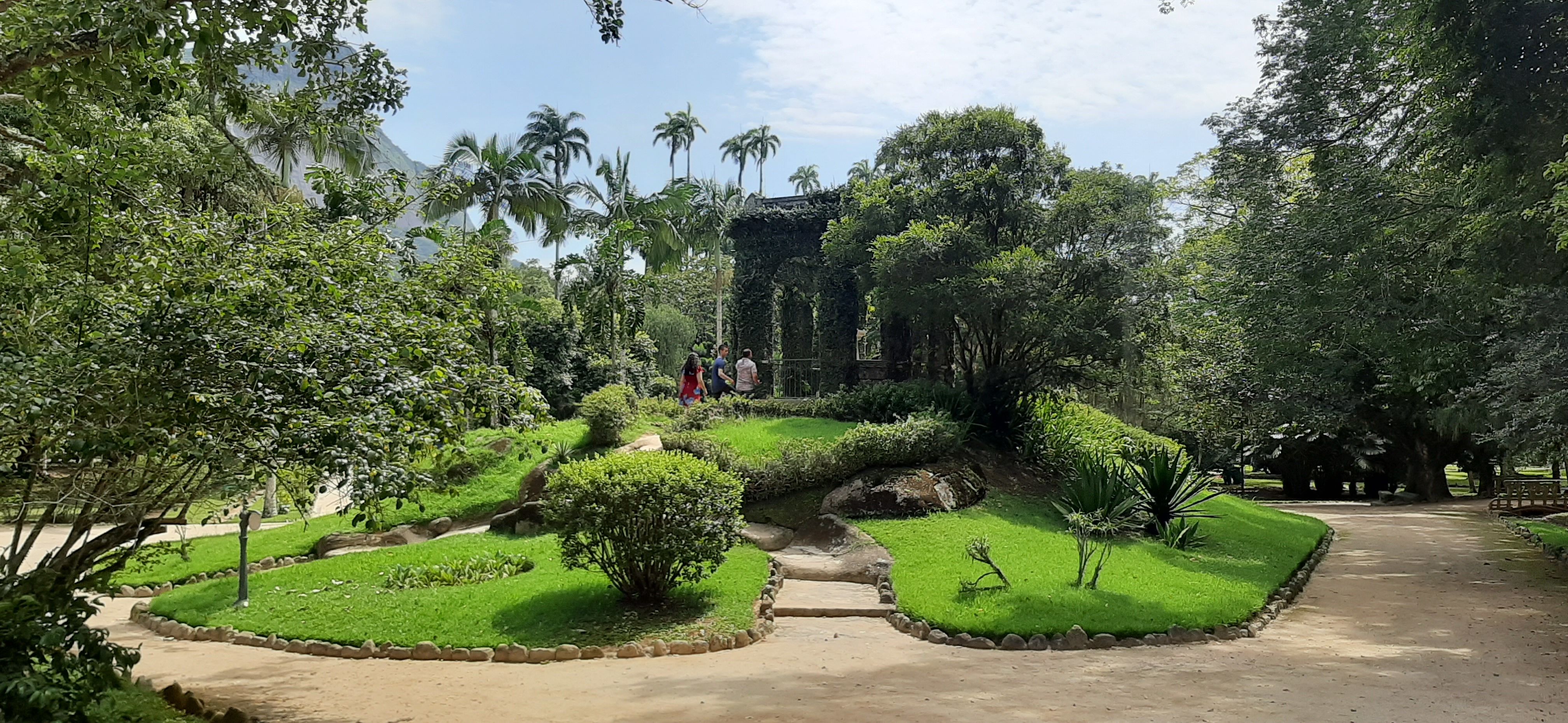 Le jardin Botanique de Rio