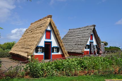 Maison aux toits de chaume