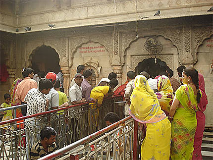 Pèlerins à Karni Mata