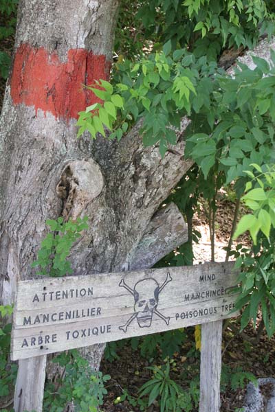 Attention, manceli