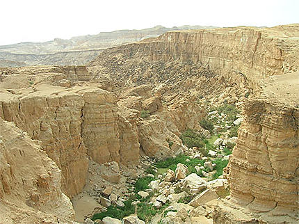 Canyon à proximité de Tamerza
