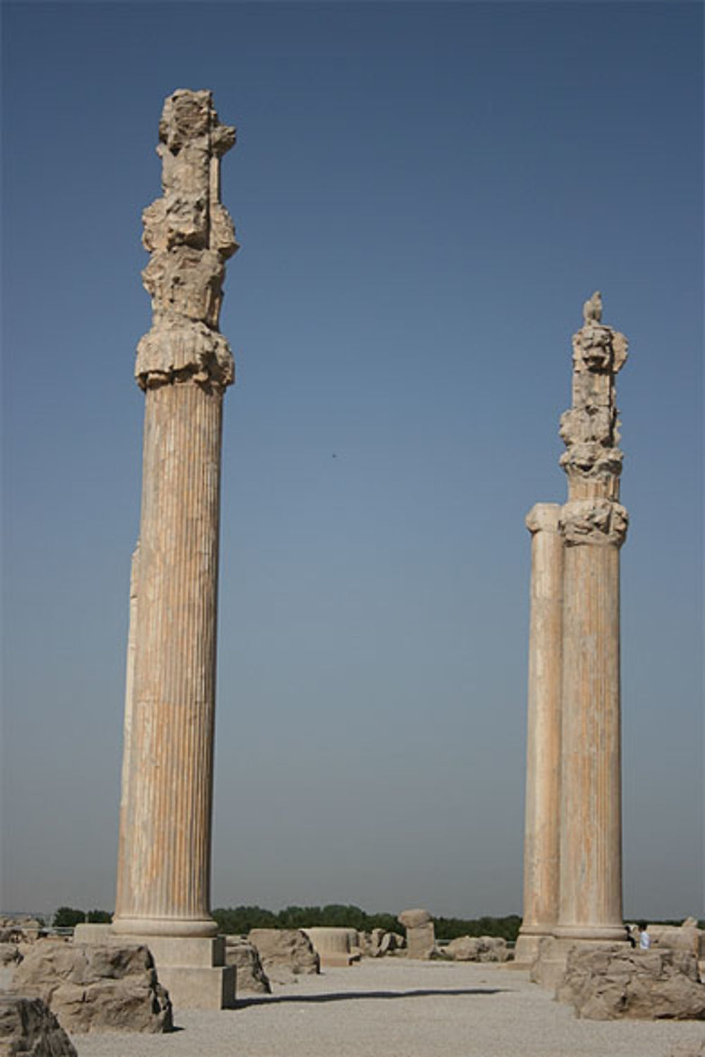 Palais de l'Apadana