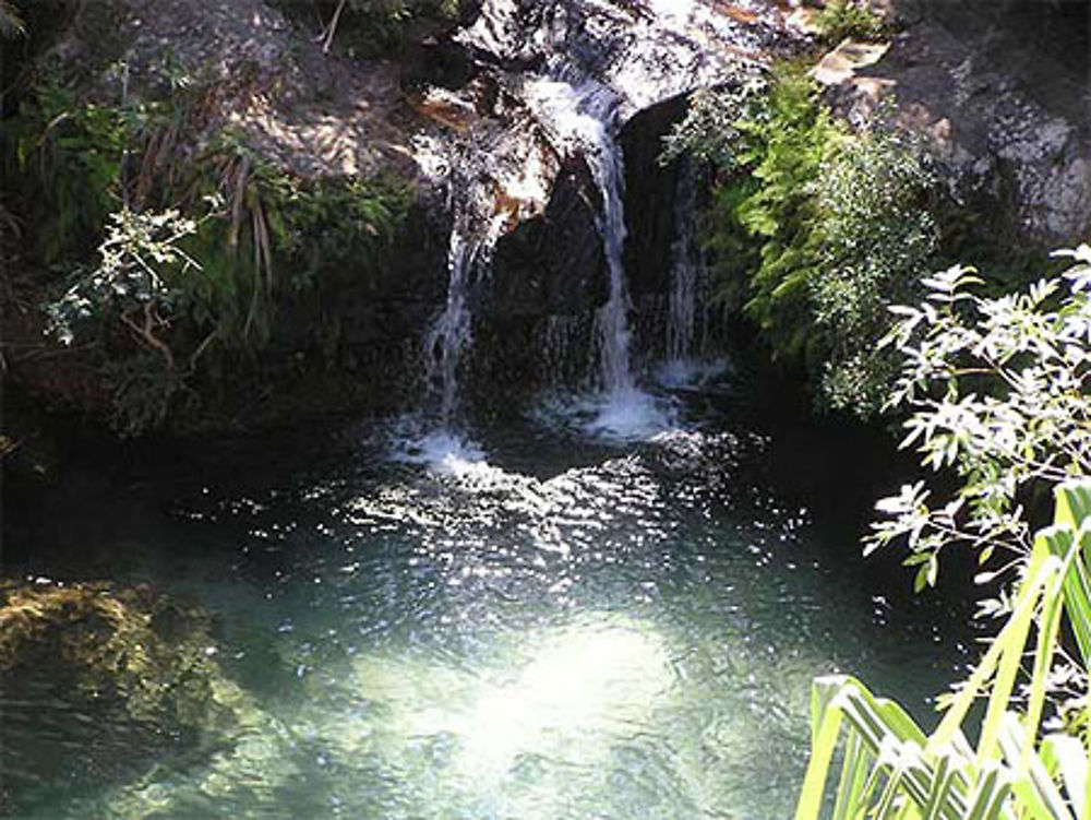 Piscine naturelle