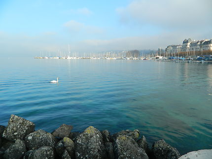Lac Léman-Genève