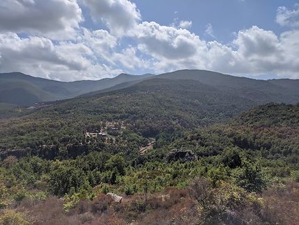 Collines boisées