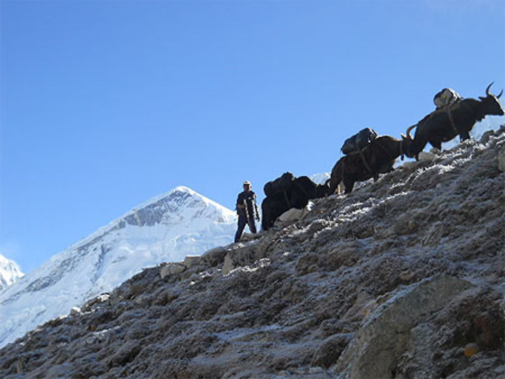 Himalaya l'enfance d'un chef...?