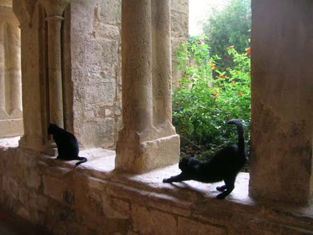 Abbaye de Valmagne Abbaye de Valmagne
