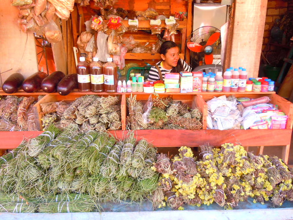 Plantes médicinales