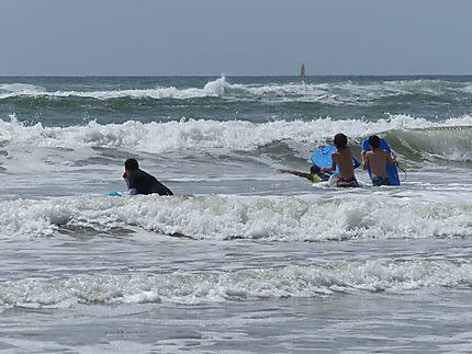 Vagues pour surfeurs avertis 
