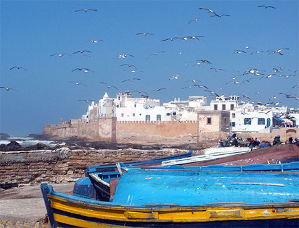 Port de pêche d'Essaouira