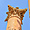 Temple d'Artémis, détail d'un chapiteau