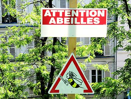 Attention aux abeilles de Paris