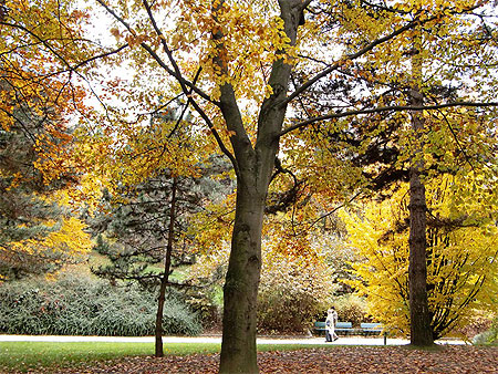 Parcs et jardins Parcs et jardins
