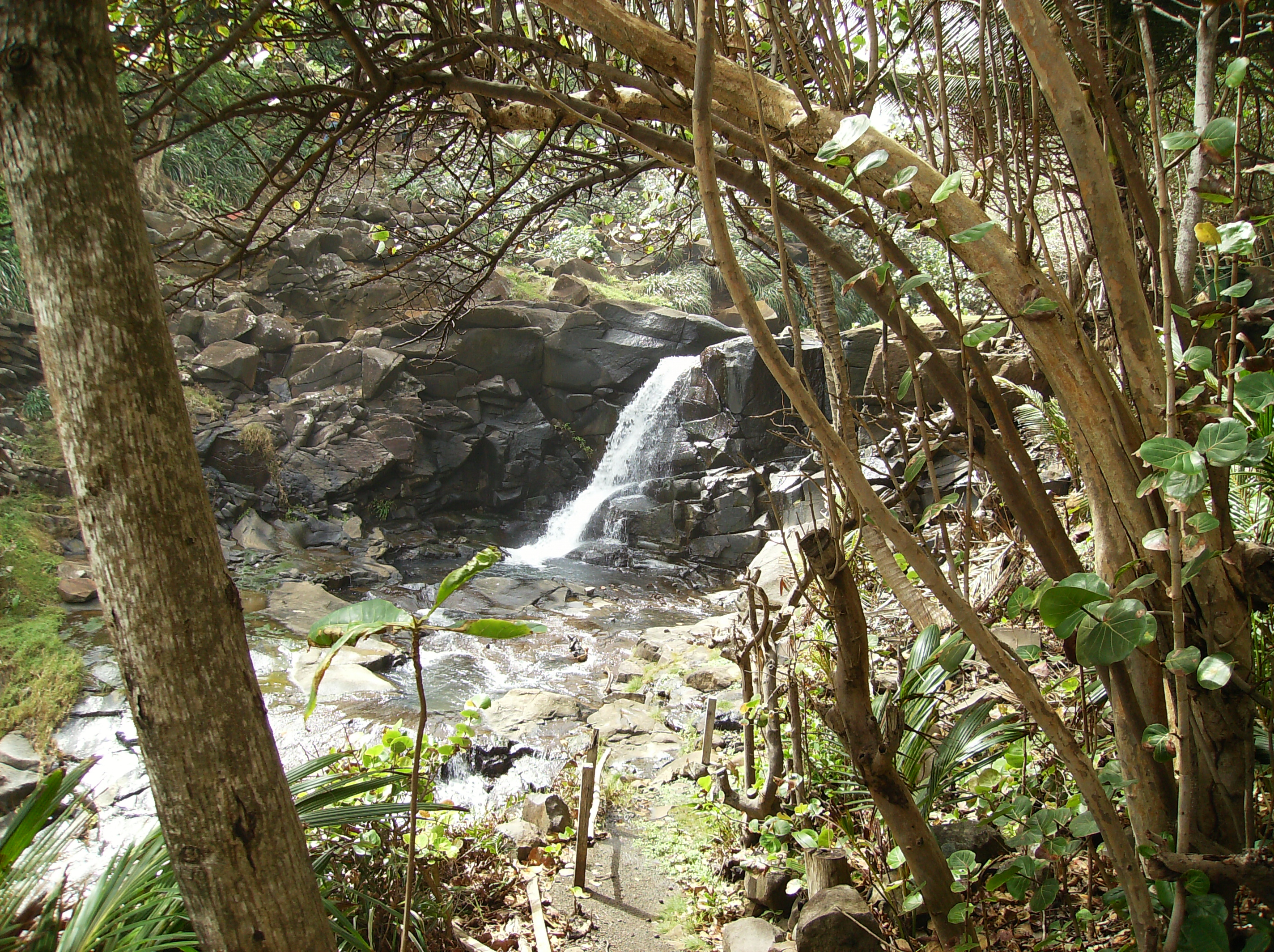 Cascade en Dominique Cascade en Dominique