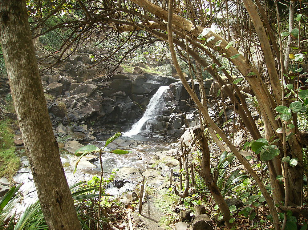 Cascade en Dominique