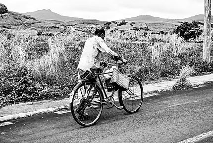 The Mauritius bike man 