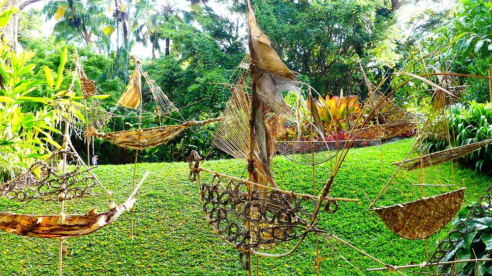 Jardin Botanique de Cairns