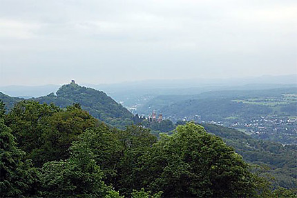 La vallée du Rhin