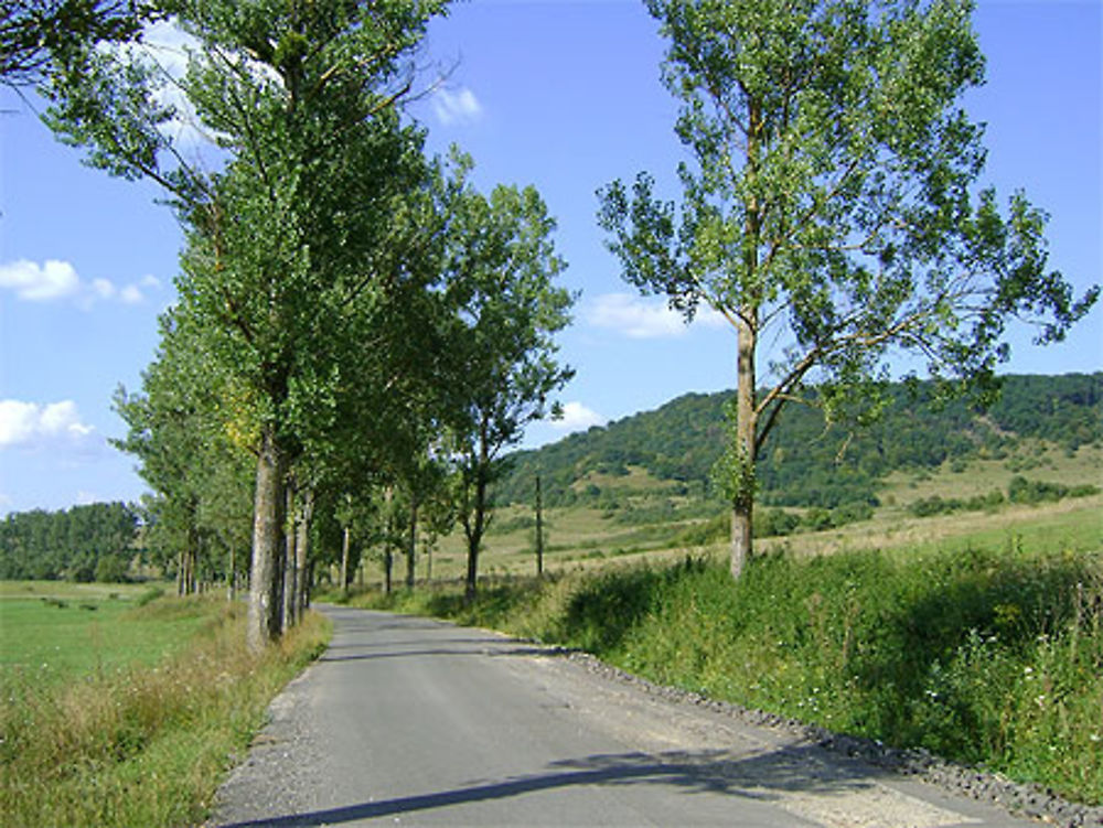 Route de campagne pour Viscri