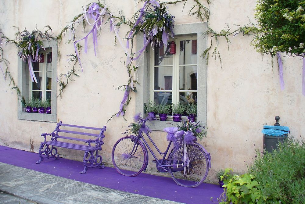 Décor d'un magasin