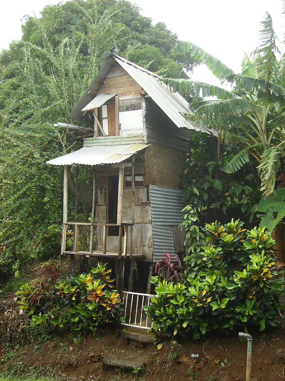 Cabane en Dominique