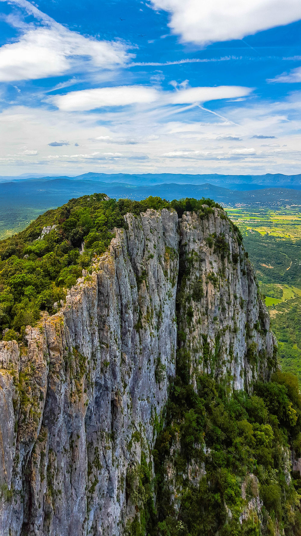 Pic Saint Loup