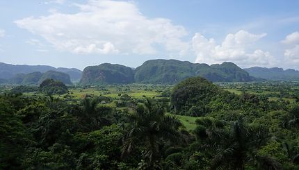 Vallée de Viñales à Cuba