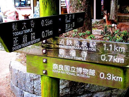Une idée sur les distances de la gare de Nara