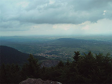 Paysage du Mont Sainte-Odile