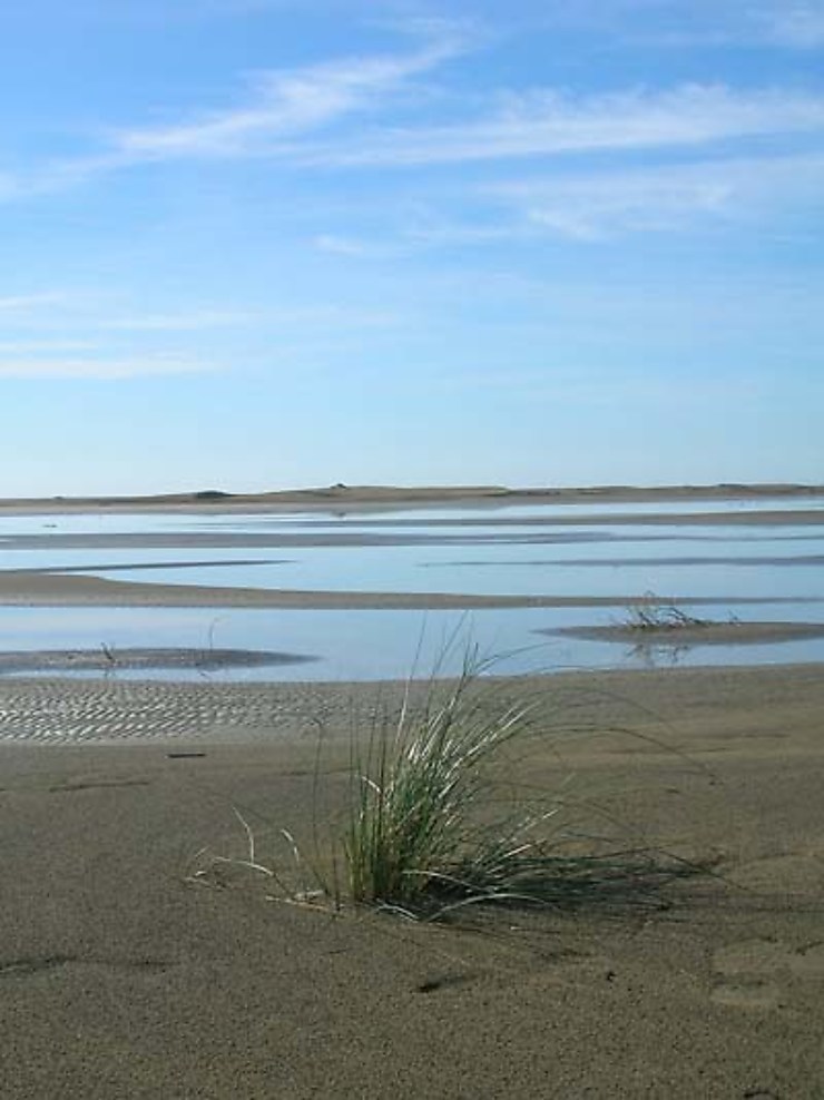 Plage De L Espiguette Plages Mer Plage De L Espiguette Le Grau plage-de-l-espiguette-plages-mer-plage-de-l-espiguette-le-grau