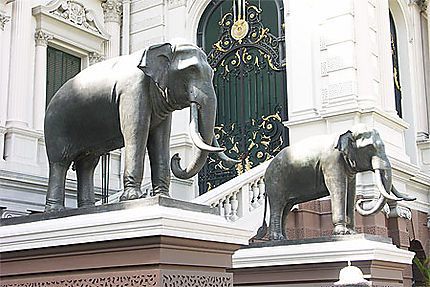 Cité Royale - les éléphants