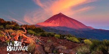 Vacances à Tenerife