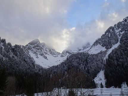 Dégradés de blanc