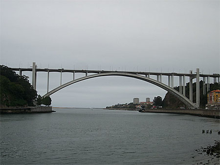 Ponte da Arrabida - cardinal