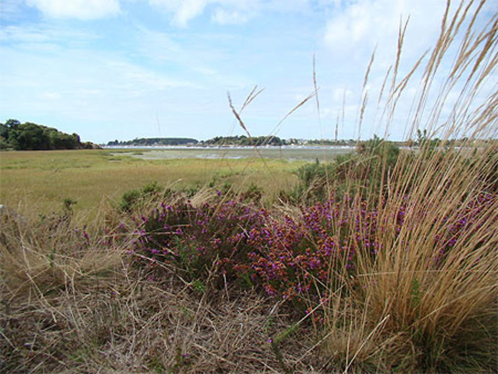 Le Hézo - Sentier côtier