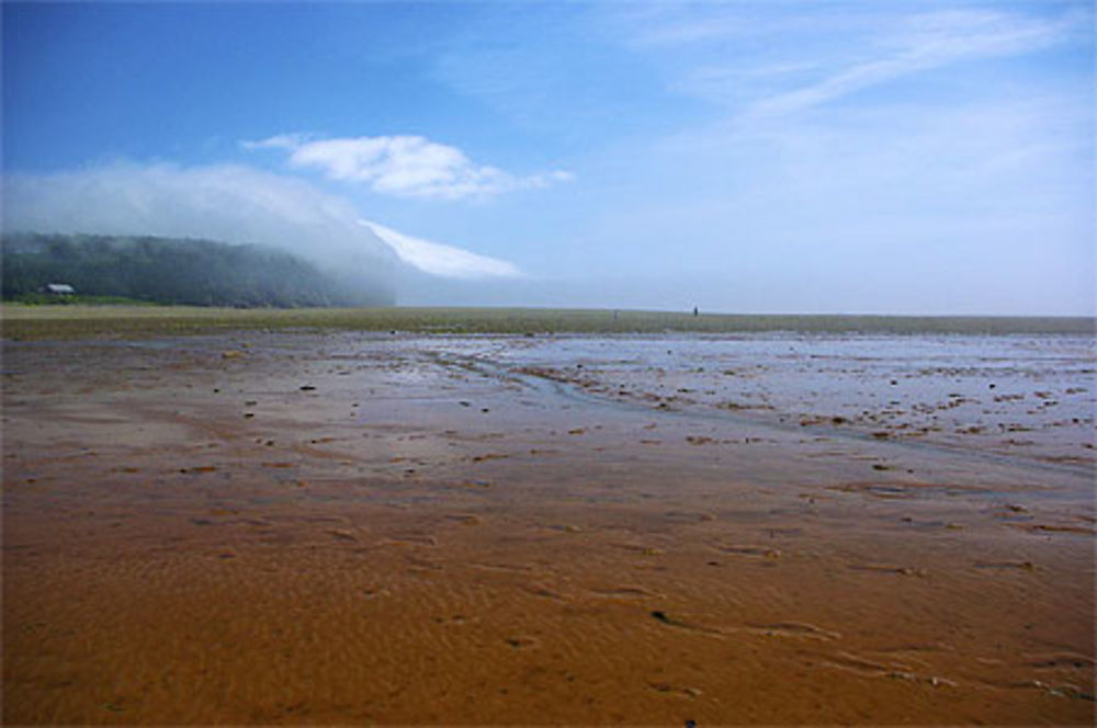 Baie de Fundy