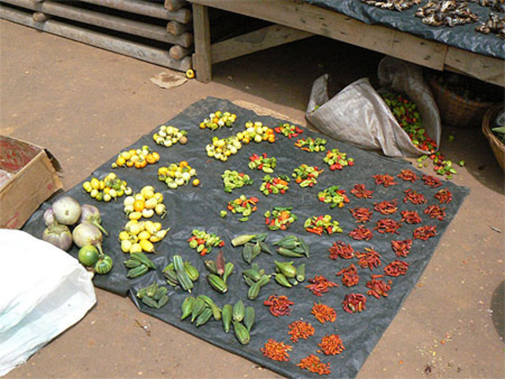 Etalage de courges et piments sur le marché 