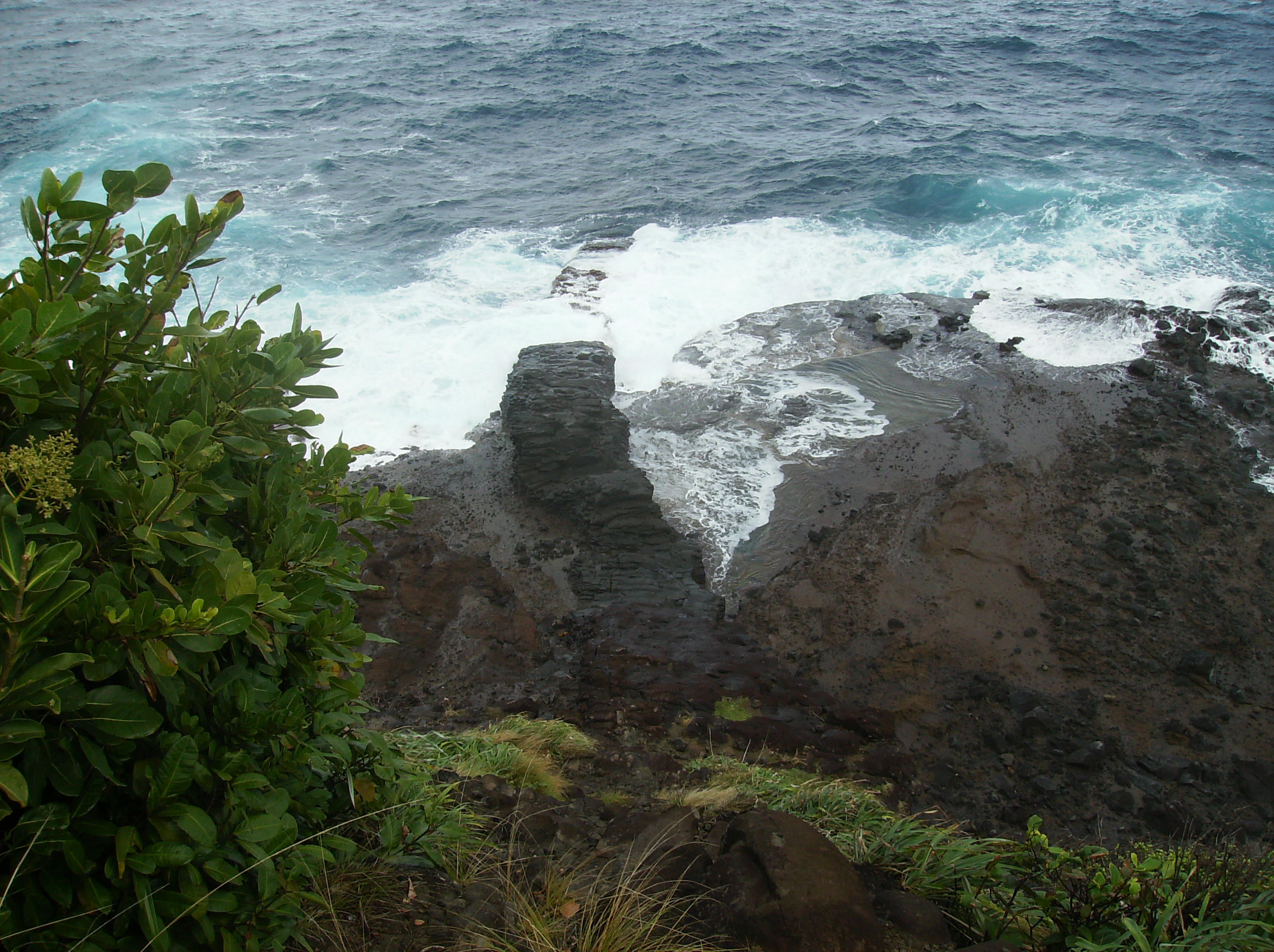 Escalier tête chien