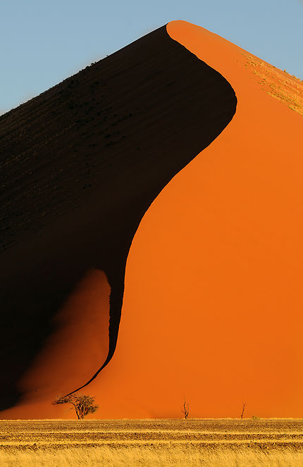 Grande dune, Sossusvlei