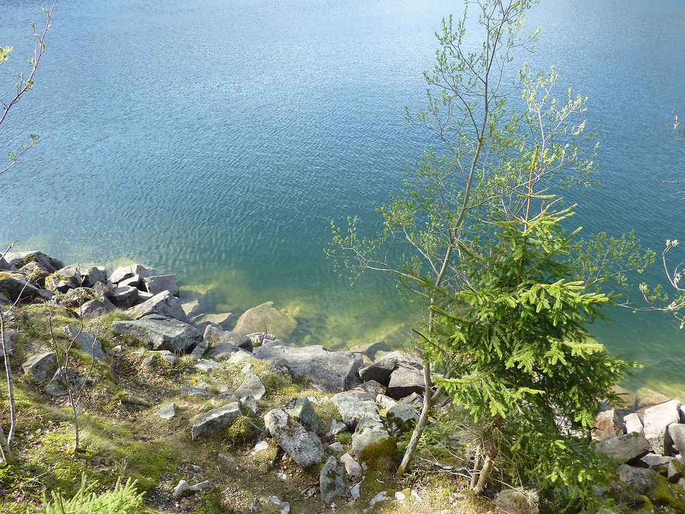 Vert et bleu en bord de lac, Alsace