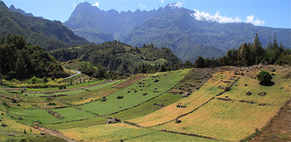 Campagne de Cilaos