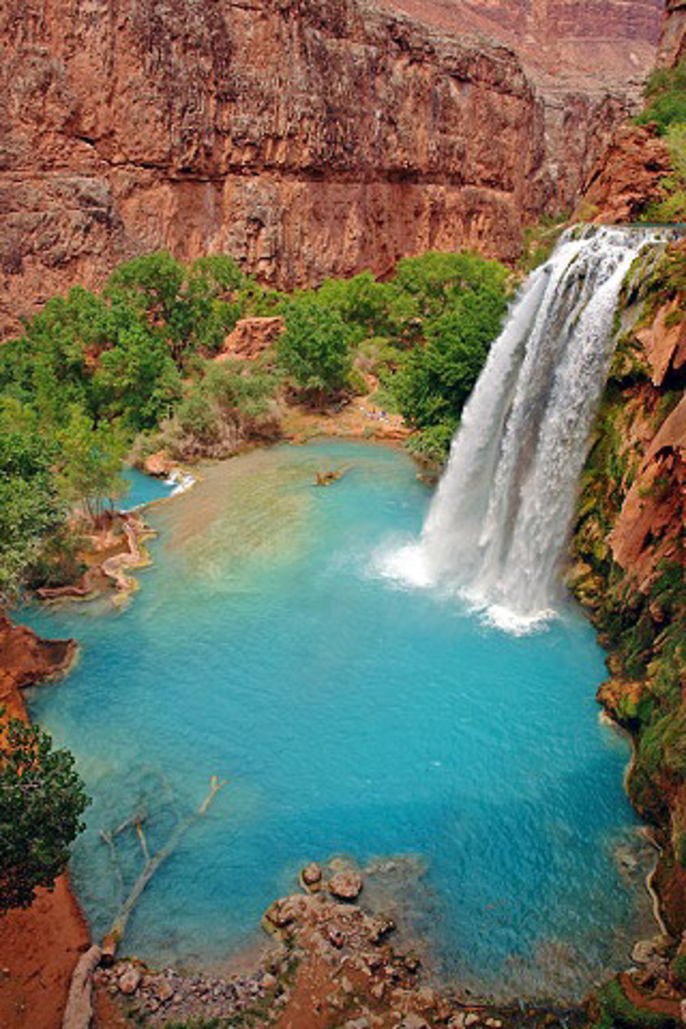 Havasu falls