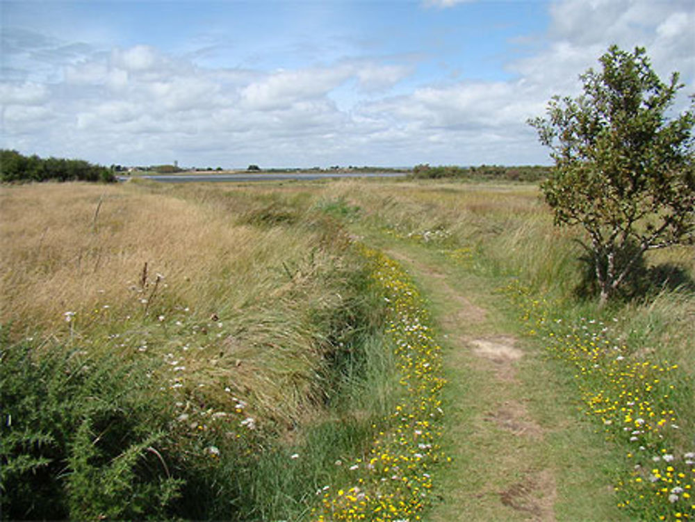 Le Hézo - Sentier côtier