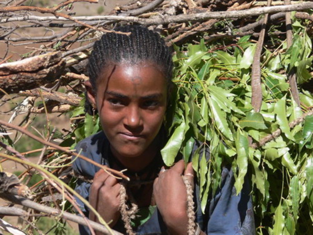 Jeune fille au fagot entre Lalibela et Mekele