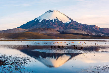 Nord du Chili : du Pacifique au désert d'Atacama