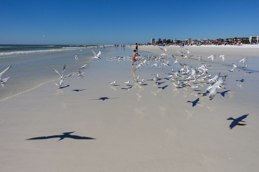 Siesta Beach