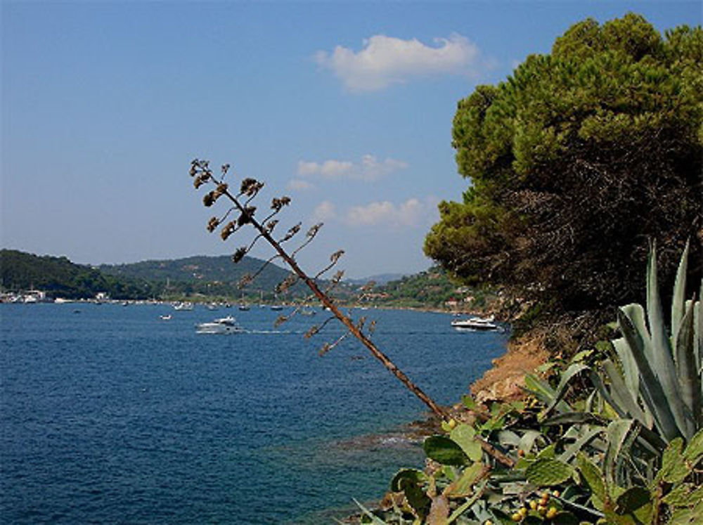 Promenade cap Porto Azzurro- l'île d'Elbe