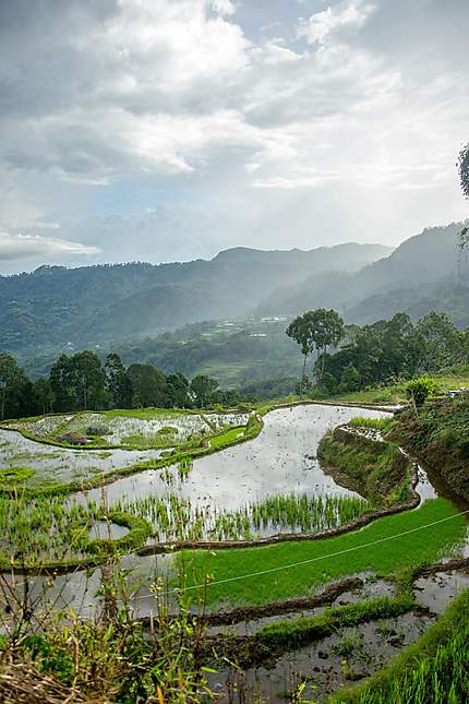 Sulawesi - Batu Tumonga