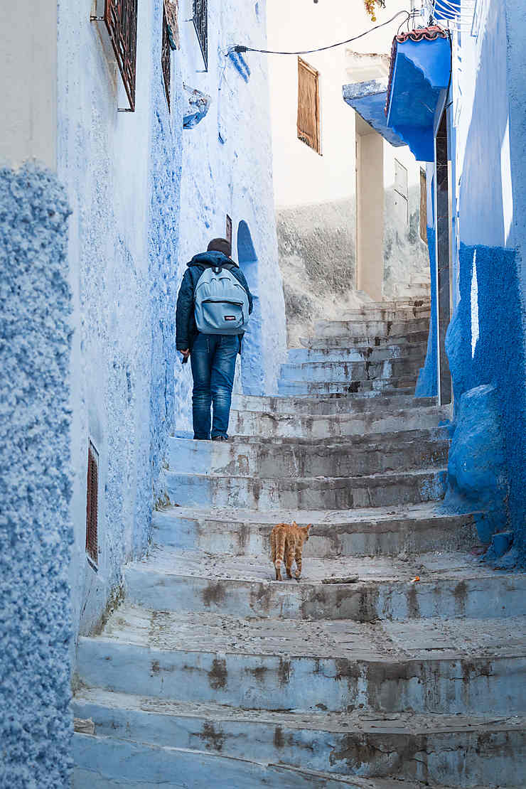 Le chat et l'élève rentrent à la maison, Chefchaouen, Maroc